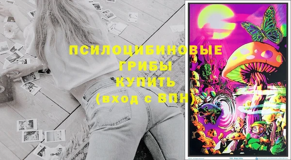 мдпв Арсеньев