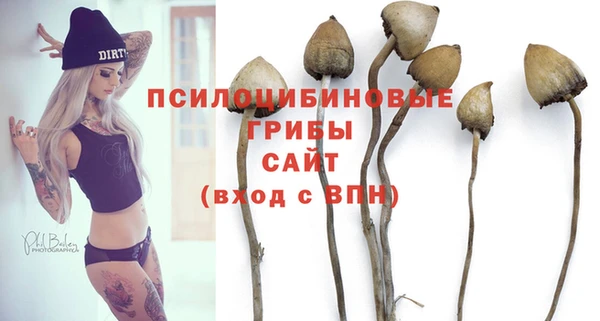 гидропоника Аркадак