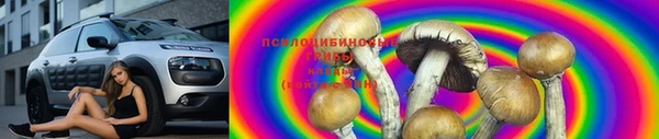 гидропоника Аркадак